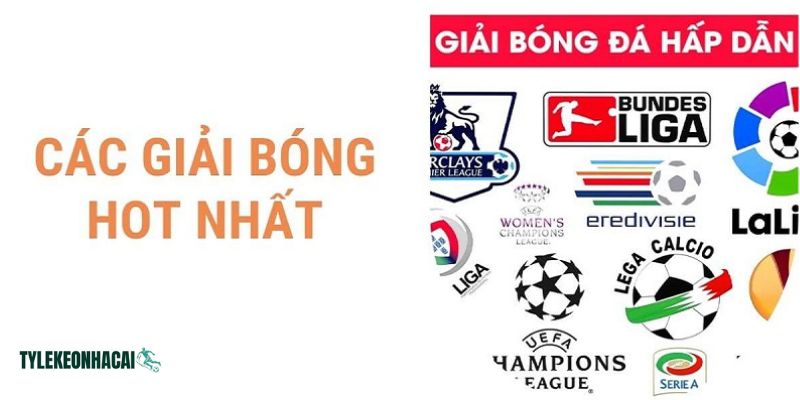 Tại laeconomiadehoy.com.co luôn cập nhật đầy đủ lịch mọi giải đấu bóng